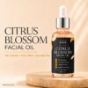 DOUCE BRISE Citrus Blossom Facial Oil – Spa Collection Silky & Fast-Absorbing Hydration – Lightweight Non-Greasy Face Oil for Glowing Skin, Daily Moisturizer for Dry Skin, Radiant Complexion Booster – Natural Citrus Oil, Fast-Absorbing, Silky Serum Texture – Clean Beauty, Vegan, Paraben-Free – Luxury Facial Oil Gift for Women (30ml / 1oz)